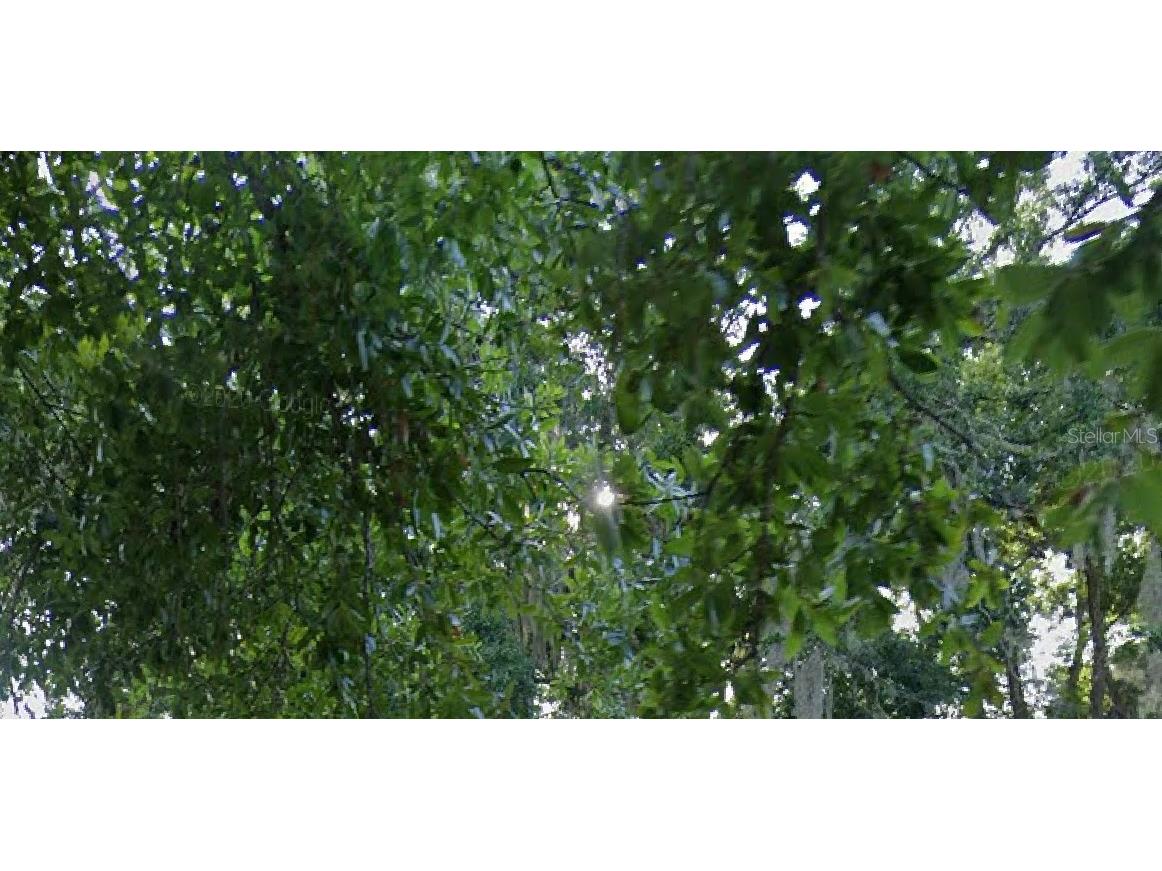  Maitland FL 32751 J988559 image1