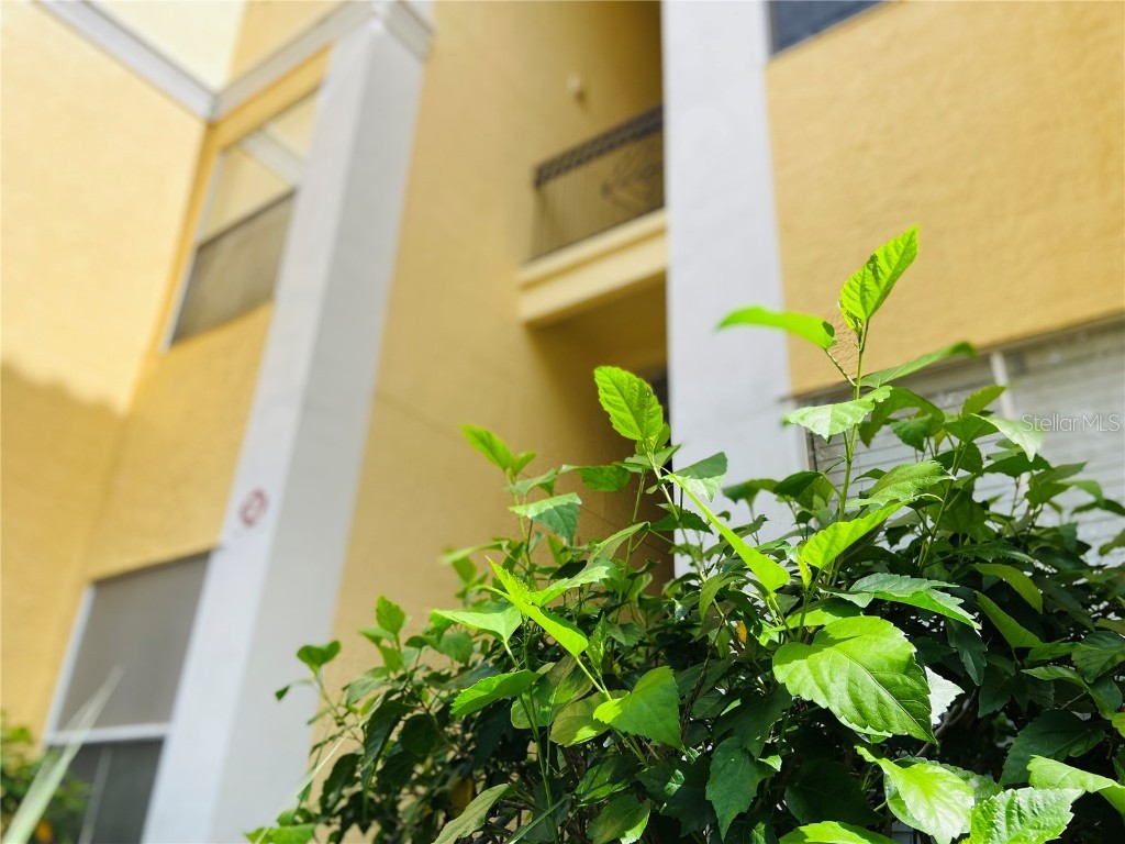  Maitland FL 32751 O6359975 image2