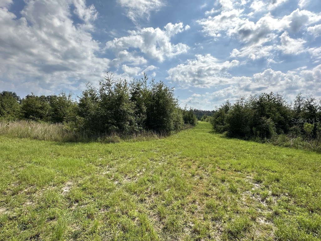  Morriston FL 32668 OM686174 image15