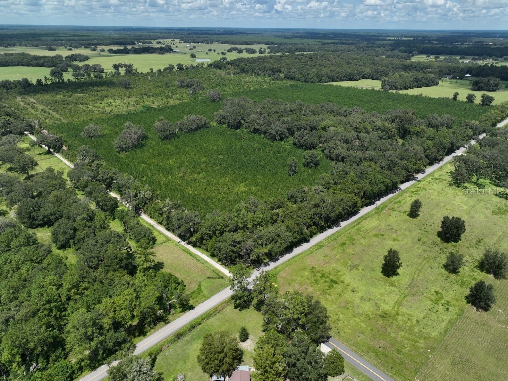  Morriston FL 32668 OM686174 image18