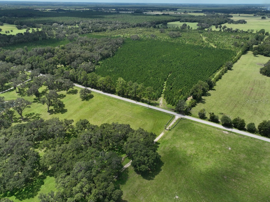  Morriston FL 32668 OM686174 image5