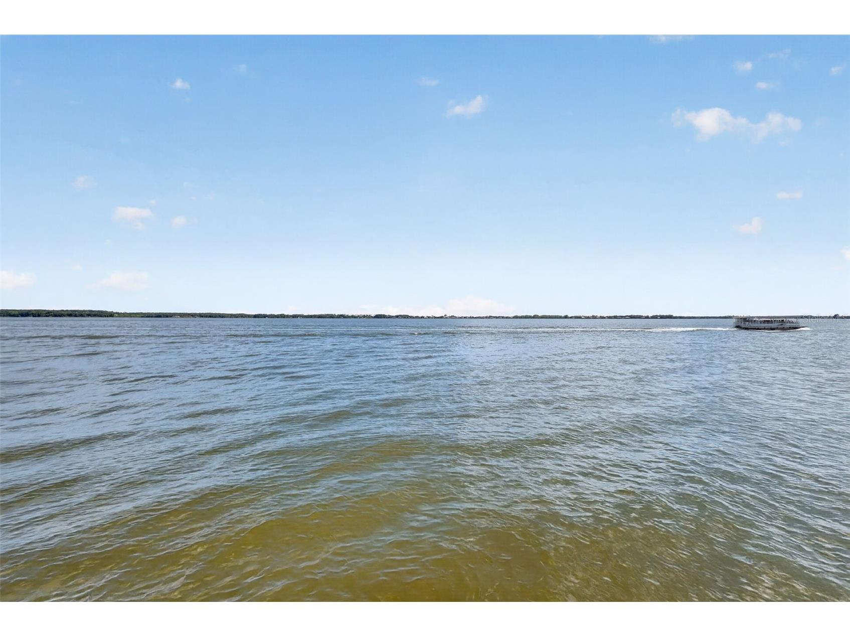 1735 Lakeshore Drive Mount Dora FL 32757 - LAKE DORA G5110894 image58