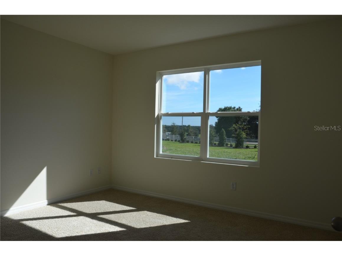  Mount Dora FL 32757 O6323540 image8