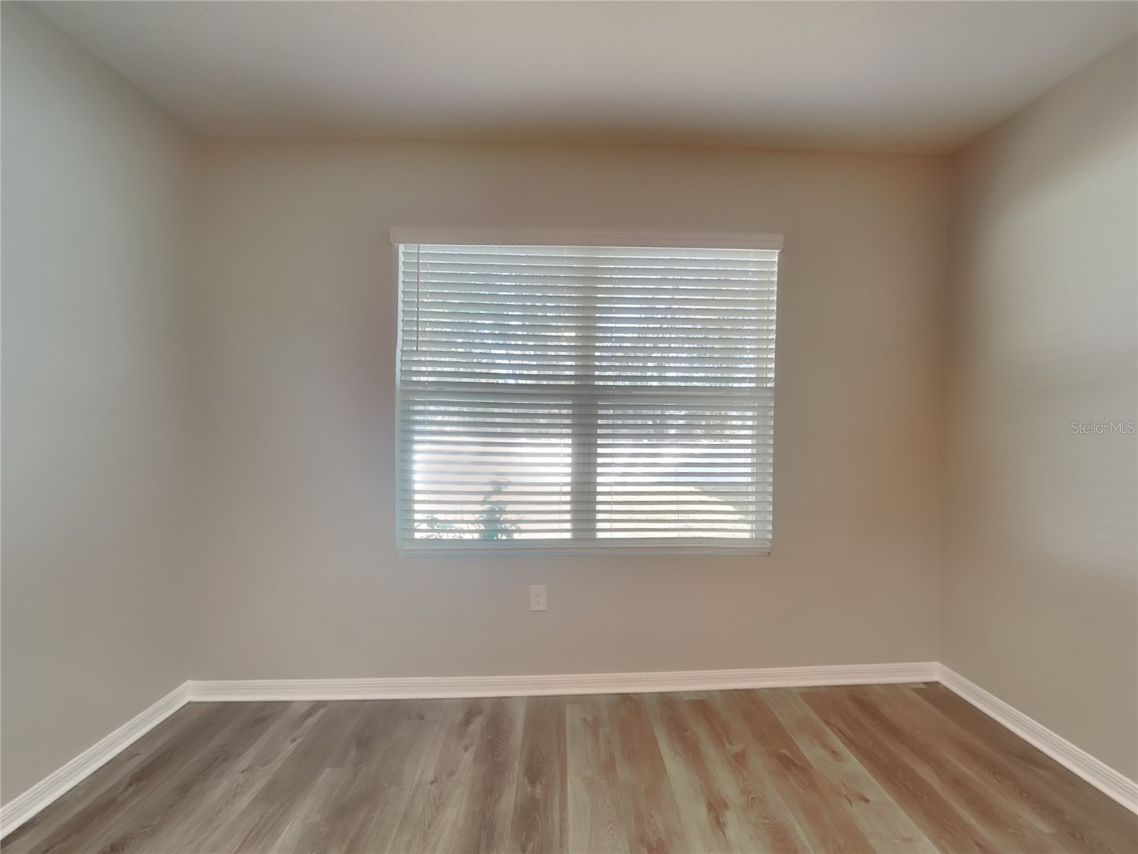  Mount Dora FL 32757 TB8502838 image7