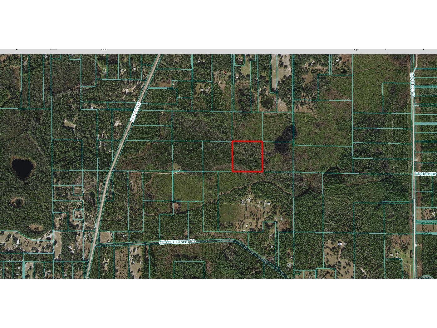 N 0 Street Fort Mc Coy FL 32134 G5053405 image1