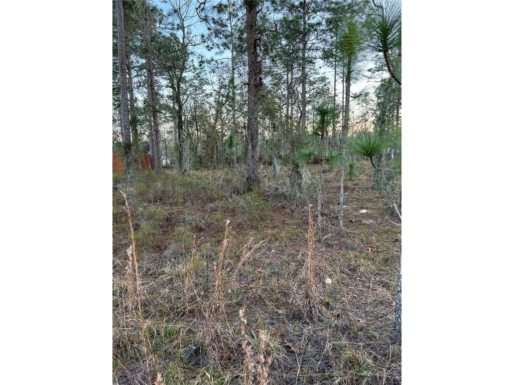 N/A Bronson FL 32621 G5063658 image1