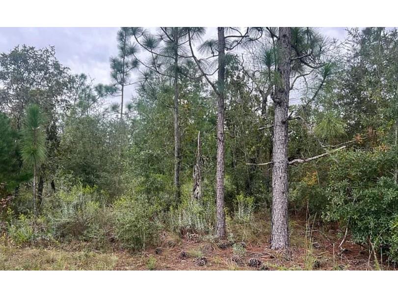 N/A Fountain FL 32438 O6230017 image6