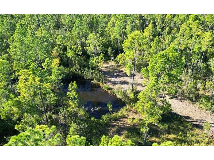 N/A Fountain FL 32438 O6230020 image7