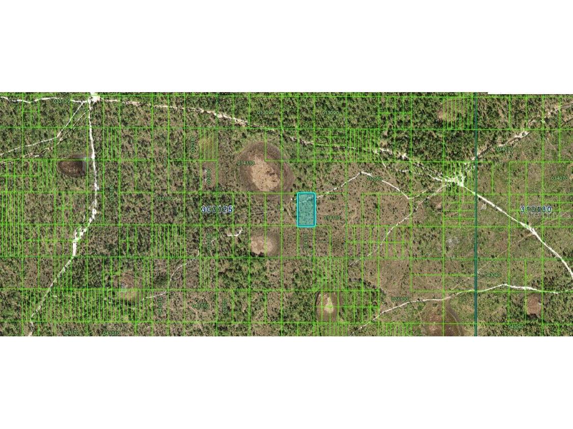 N/A Frostproof FL 33843 O6227318 image3