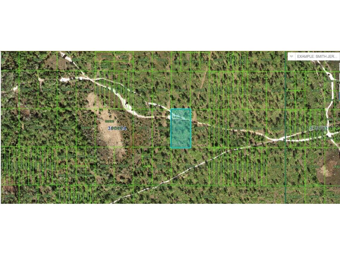 N/A Frostproof FL 33843 O6229055 image1