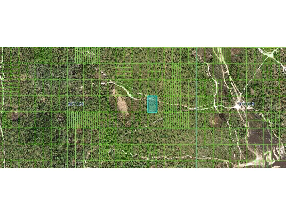 N/A Frostproof FL 33843 O6229055 image3