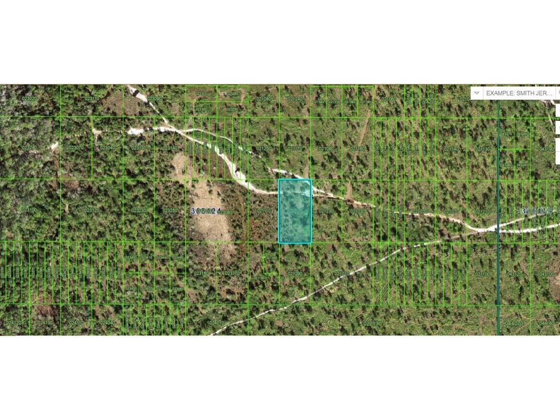 N/A Frostproof FL 33843 O6229061 image1