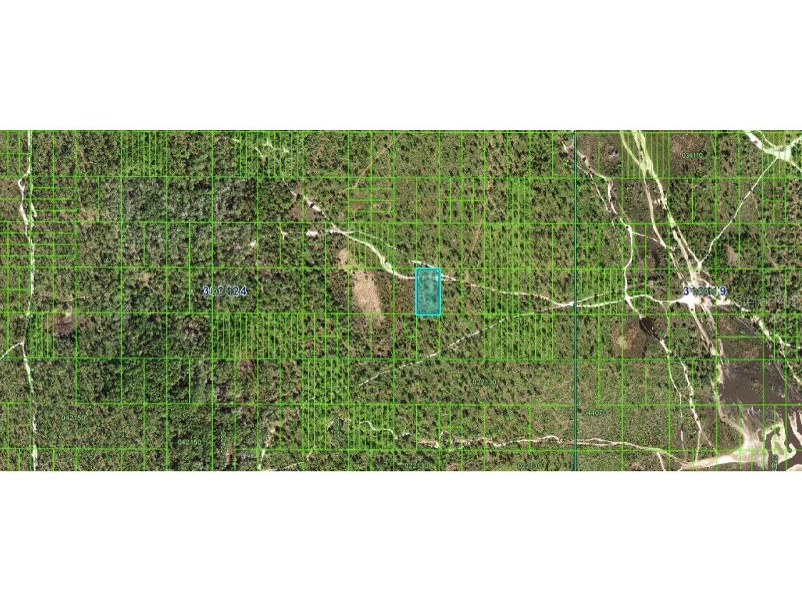 N/A Frostproof FL 33843 O6229061 image3
