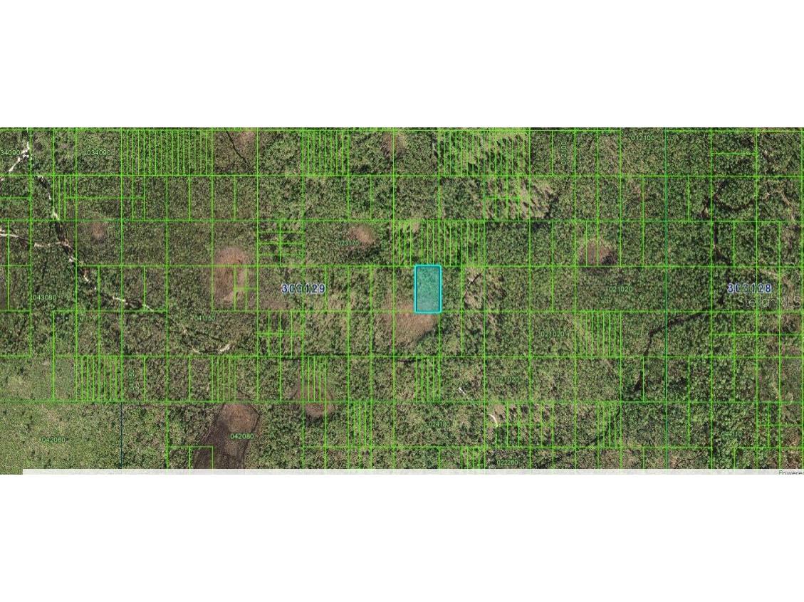 N/A Frostproof FL 33843 O6264658 image3