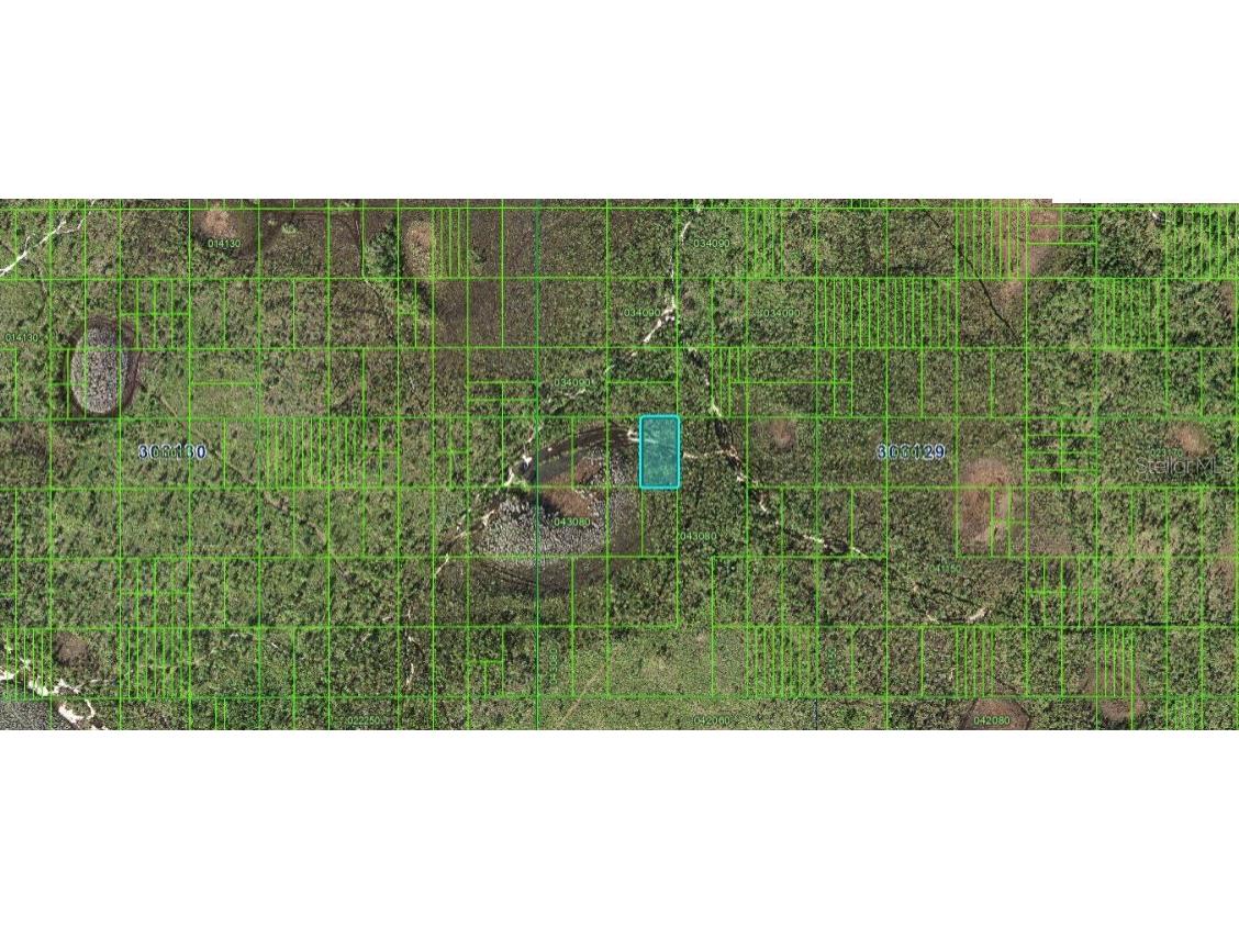 N/A Frostproof FL 33843 O6264659 image3