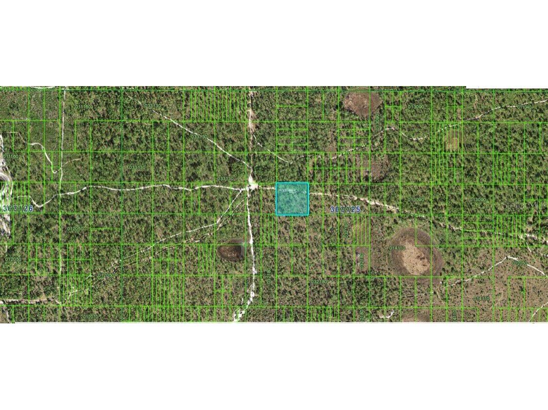 N/A Frostproof FL 33843 O6267341 image3