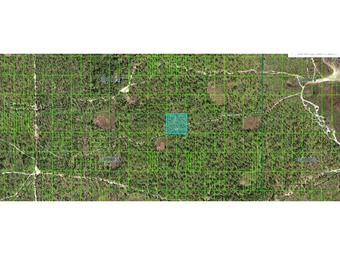 N/A Frostproof FL 33843 O6299289 image2