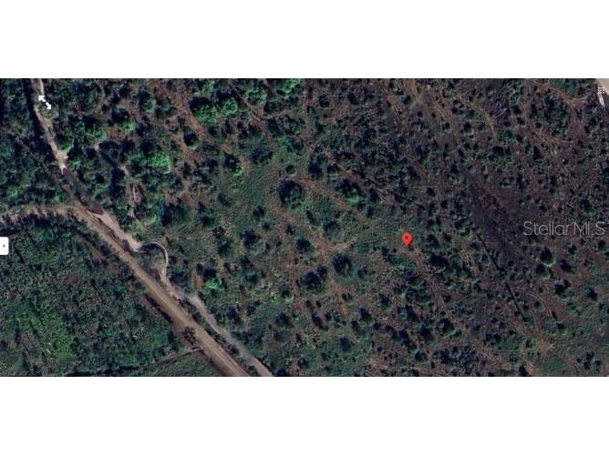 N/A Frostproof FL 33843 O6339982 image5