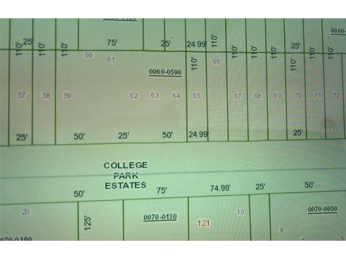 N/A Interlachen FL 32148 S5123983 image1