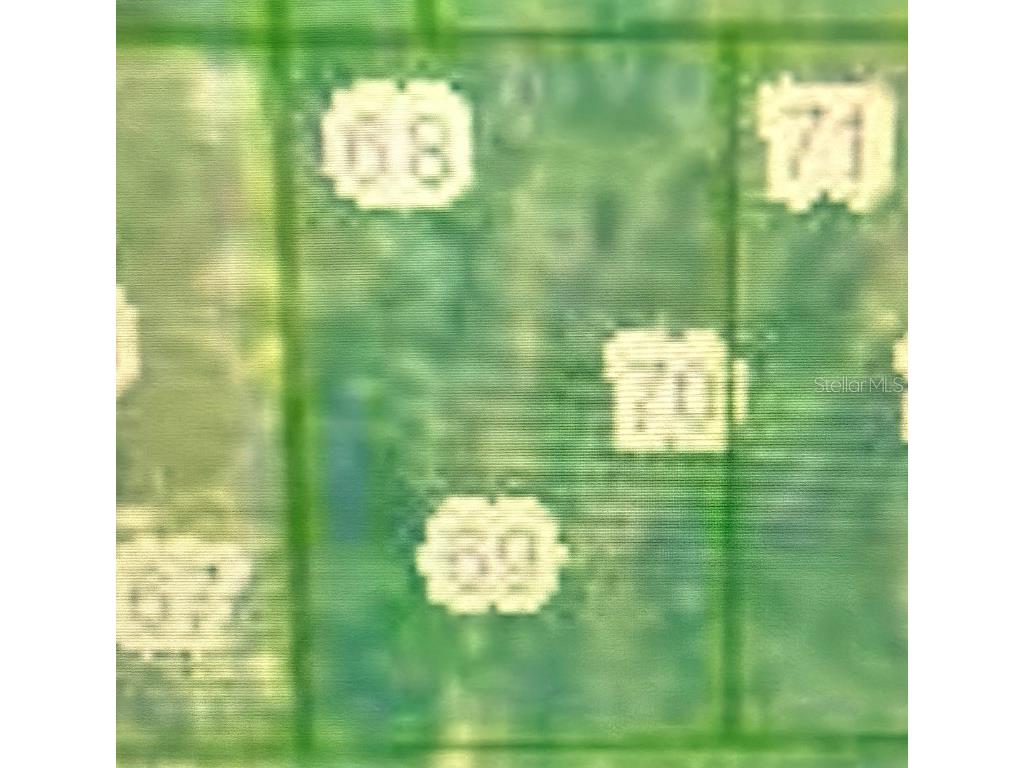 N/A Interlachen FL 32148 S5123986 image2