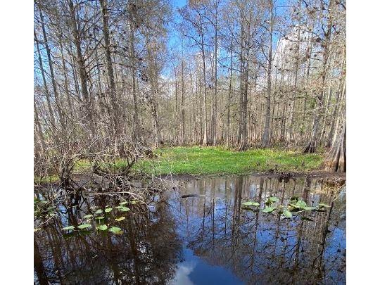 N/A Lake Wales FL 33898 O6227310 image2