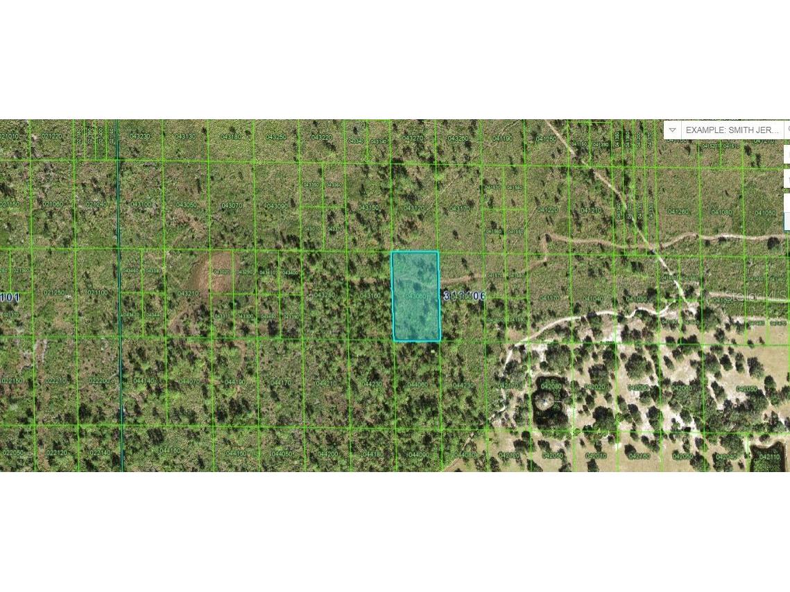 N/A Lake Wales FL 33898 O6227444 image1