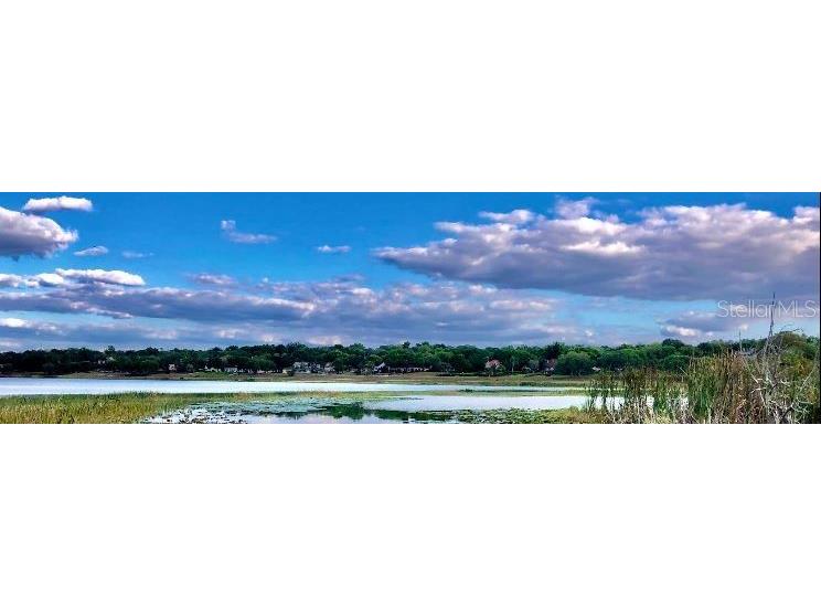 N/A Lake Wales FL 33898 O6227446 image2