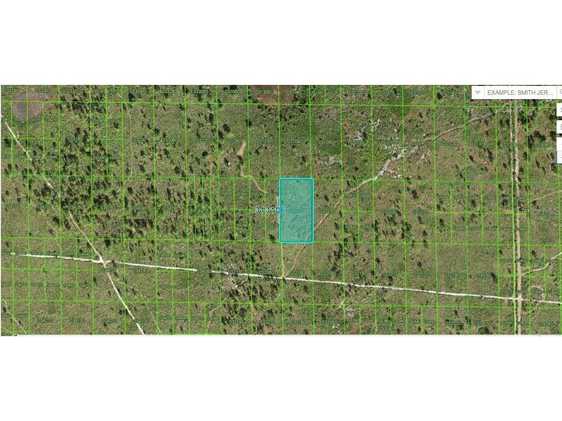 N/A Lake Wales FL 33898 O6247382 image1