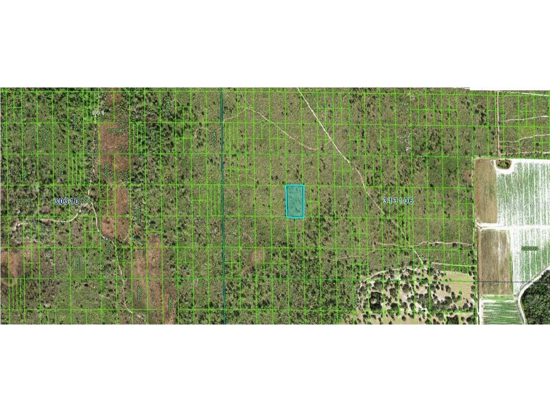 N/A Lake Wales FL 33898 O6247384 image3