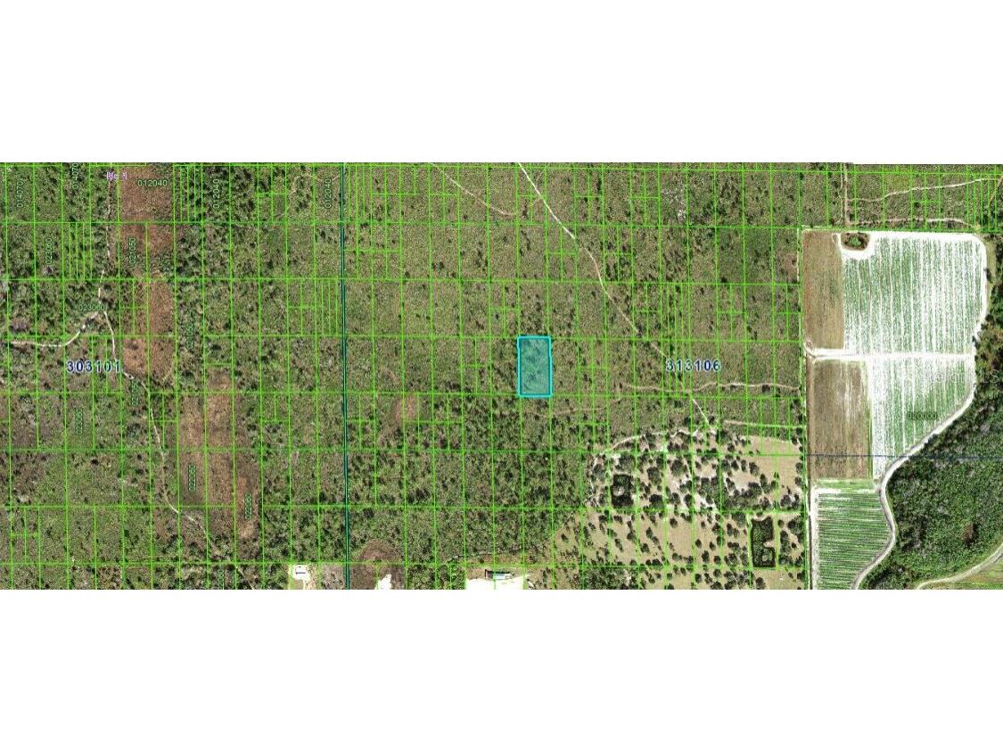 N/A Lake Wales FL 33898 O6247385 image2