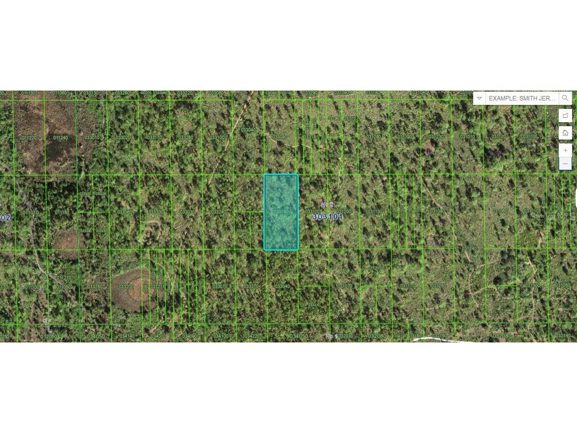 N/A Lake Wales FL 33898 O6266394 image1