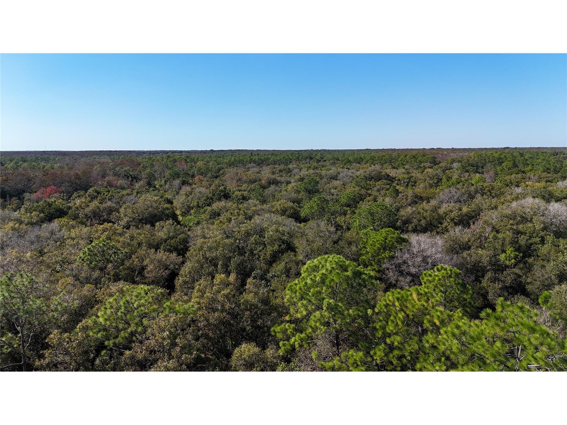 N/A Naples FL 34120 OM716996 image27