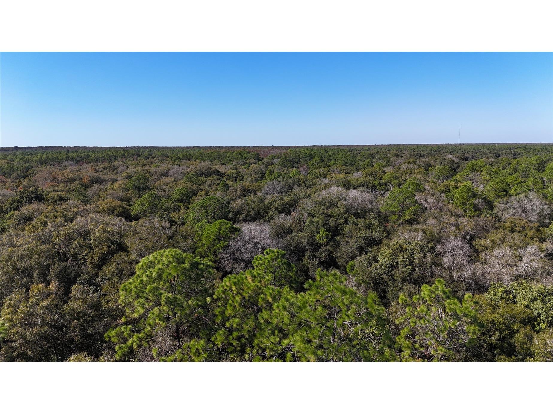 N/A Naples FL 34120 OM716996 image28
