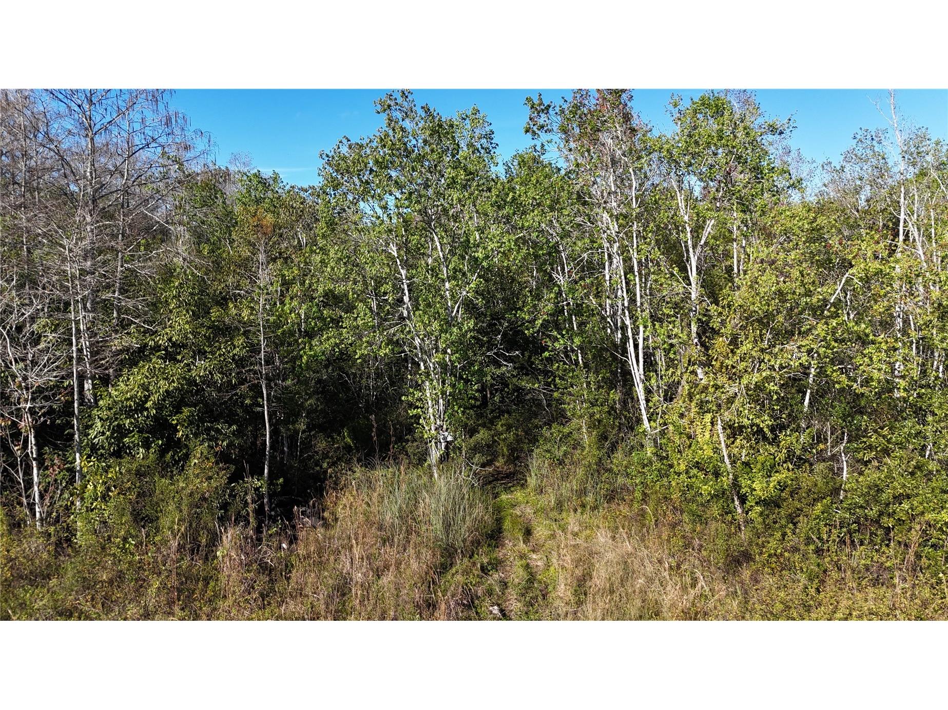 N/A Naples FL 34120 OM716996 image3