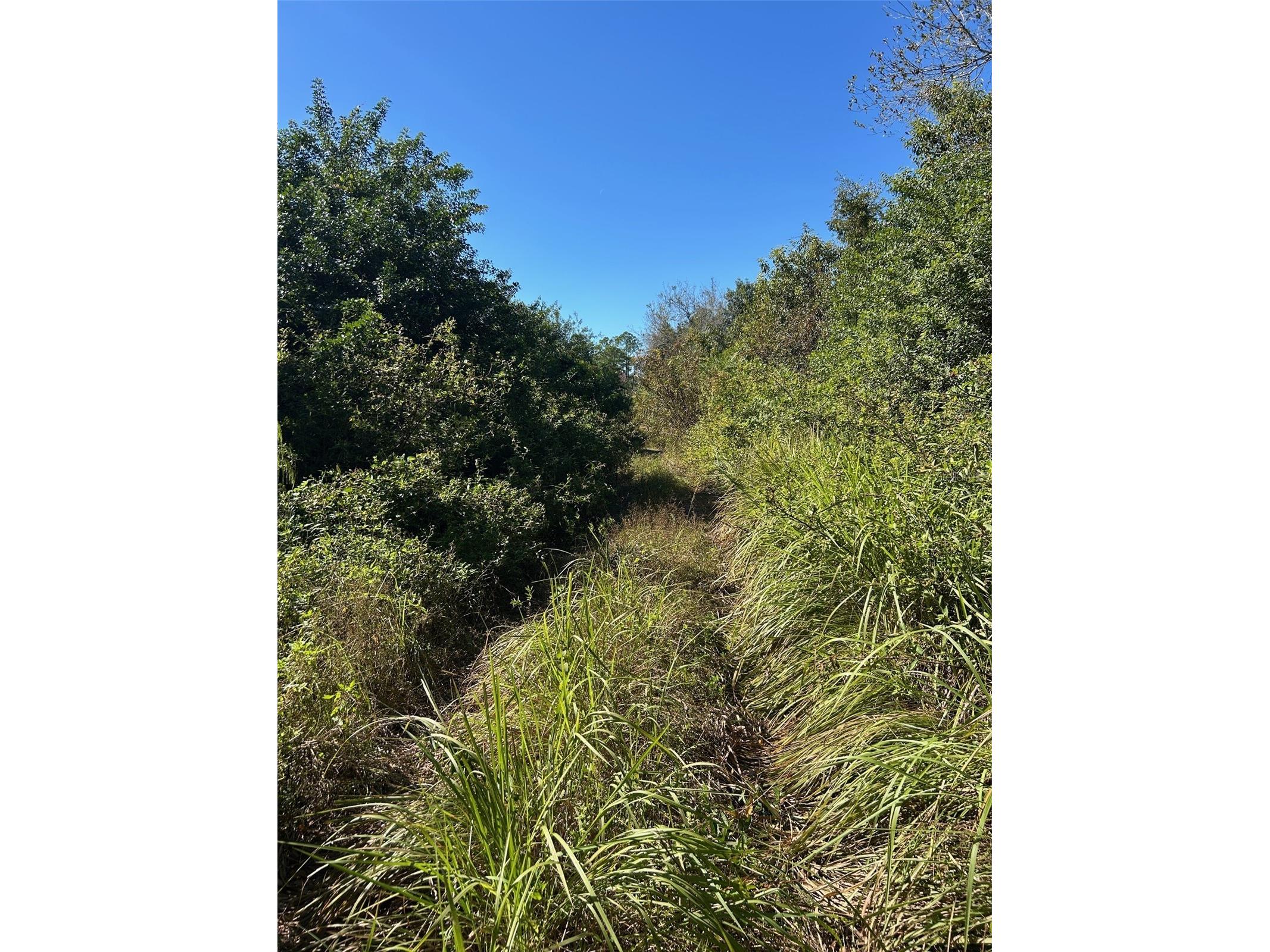 N/A Naples FL 34120 OM716996 image30