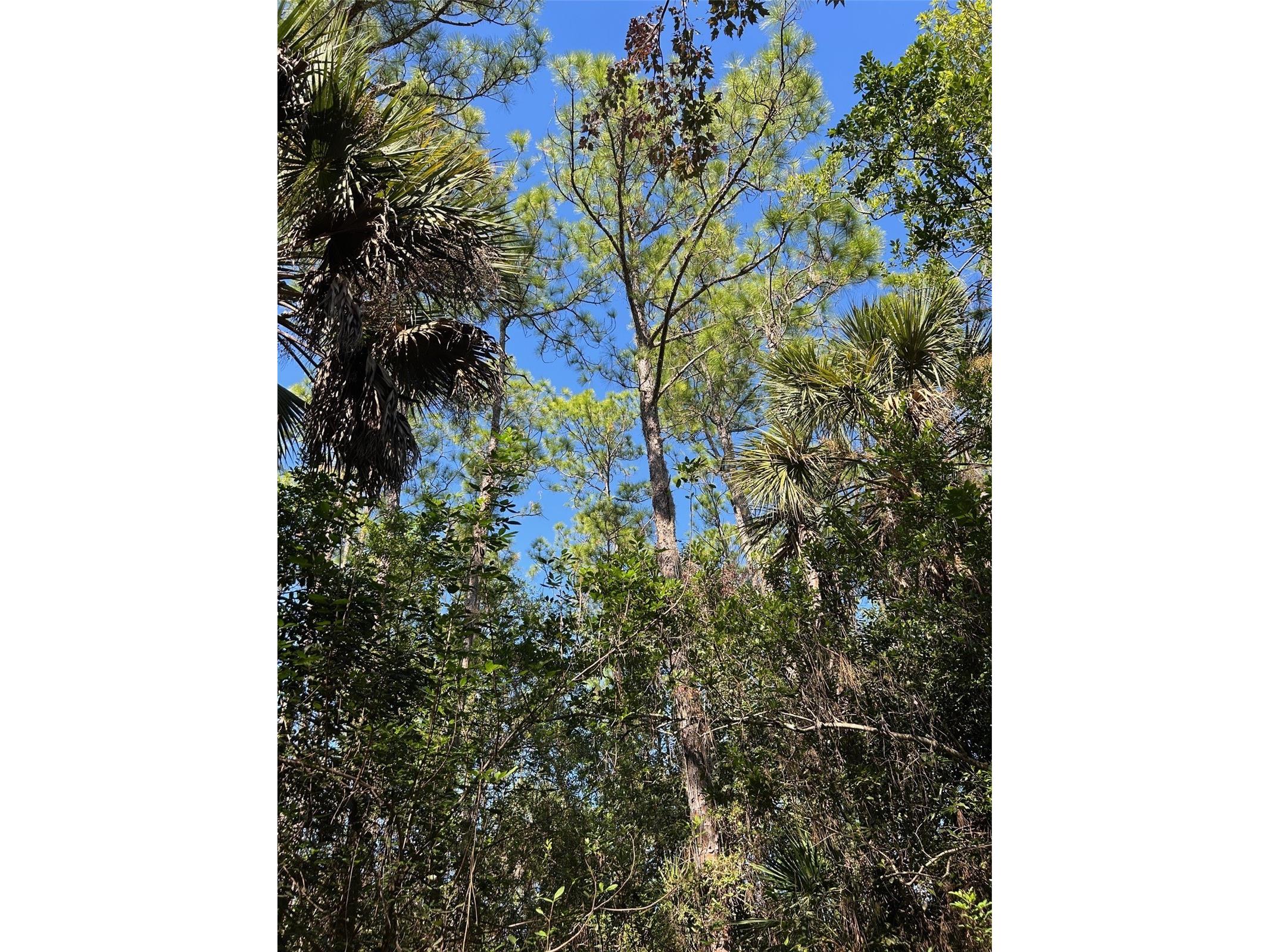 N/A Naples FL 34120 OM716996 image35