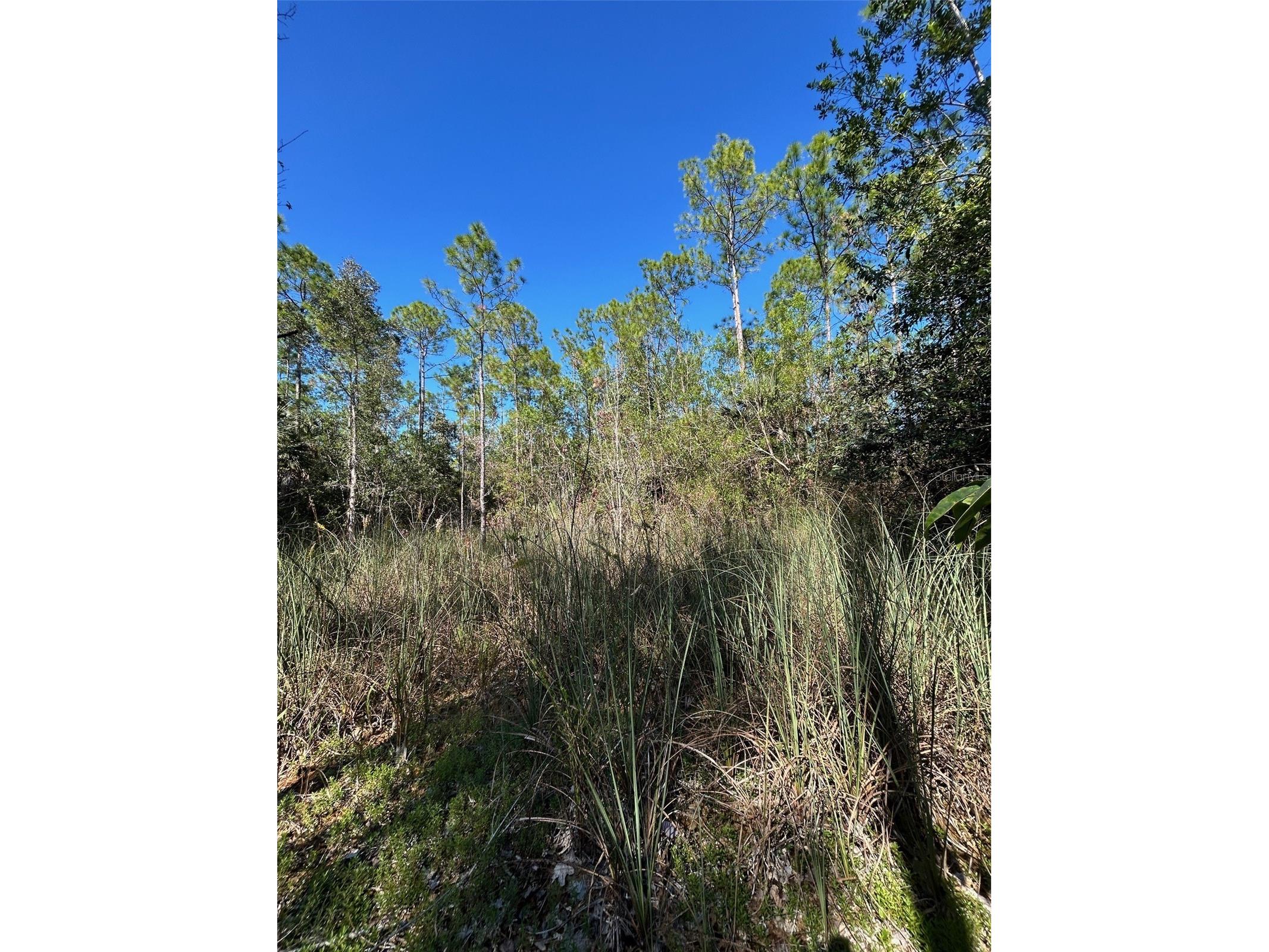 N/A Naples FL 34120 OM716996 image36