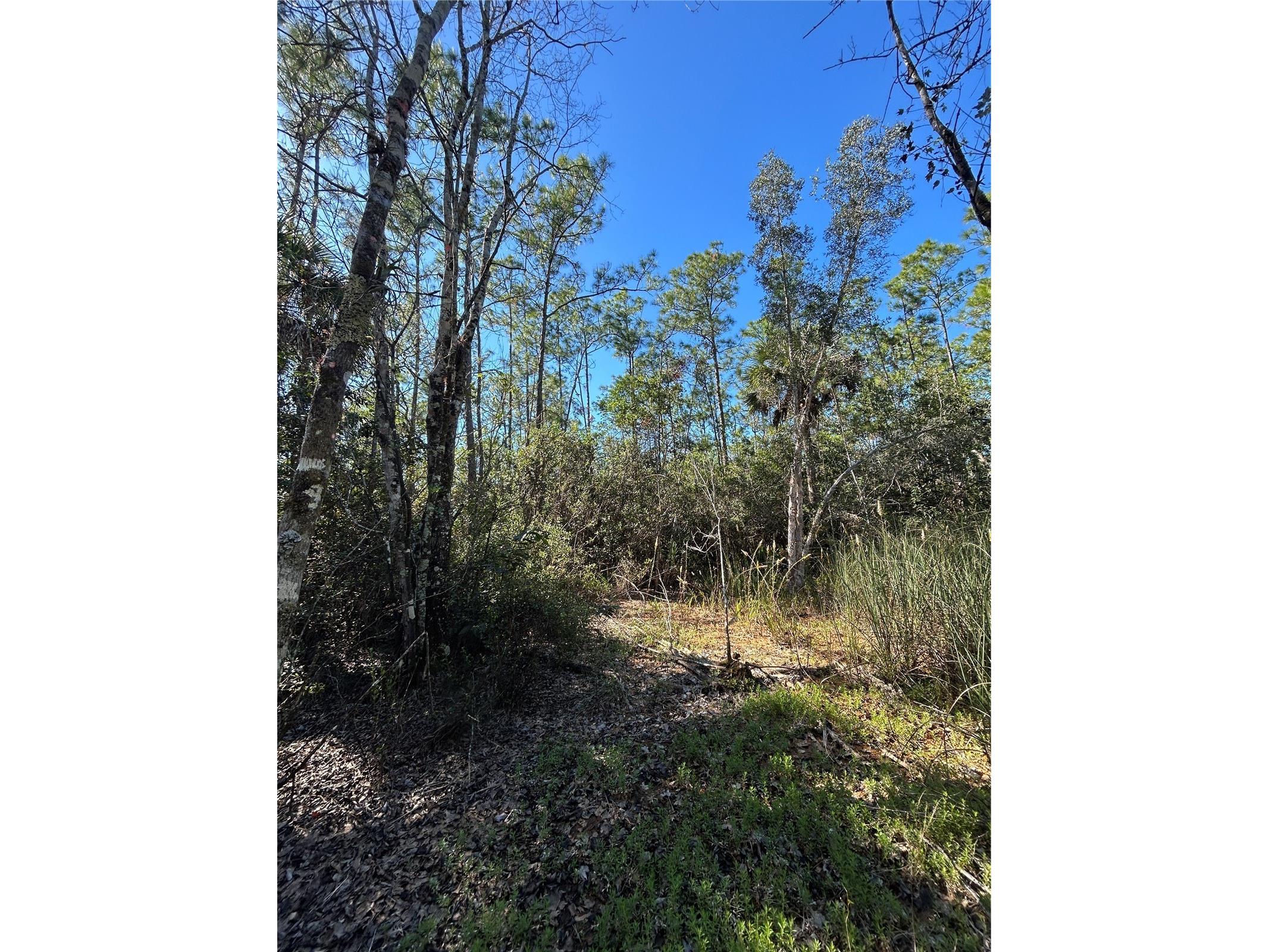 N/A Naples FL 34120 OM716996 image37