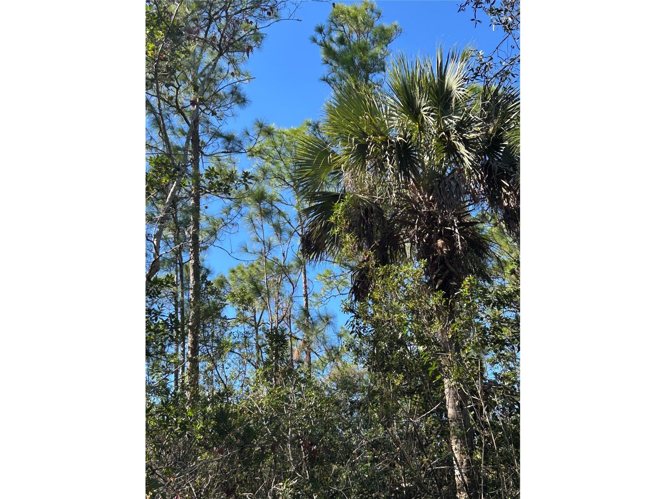 N/A Naples FL 34120 OM716996 image38