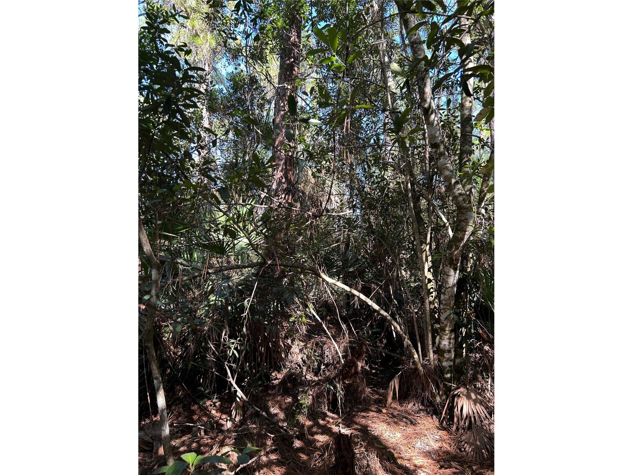 N/A Naples FL 34120 OM716996 image39