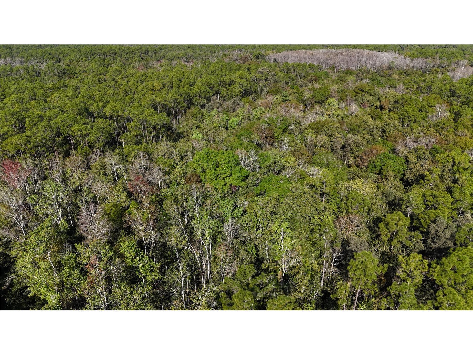 N/A Naples FL 34120 OM716996 image4