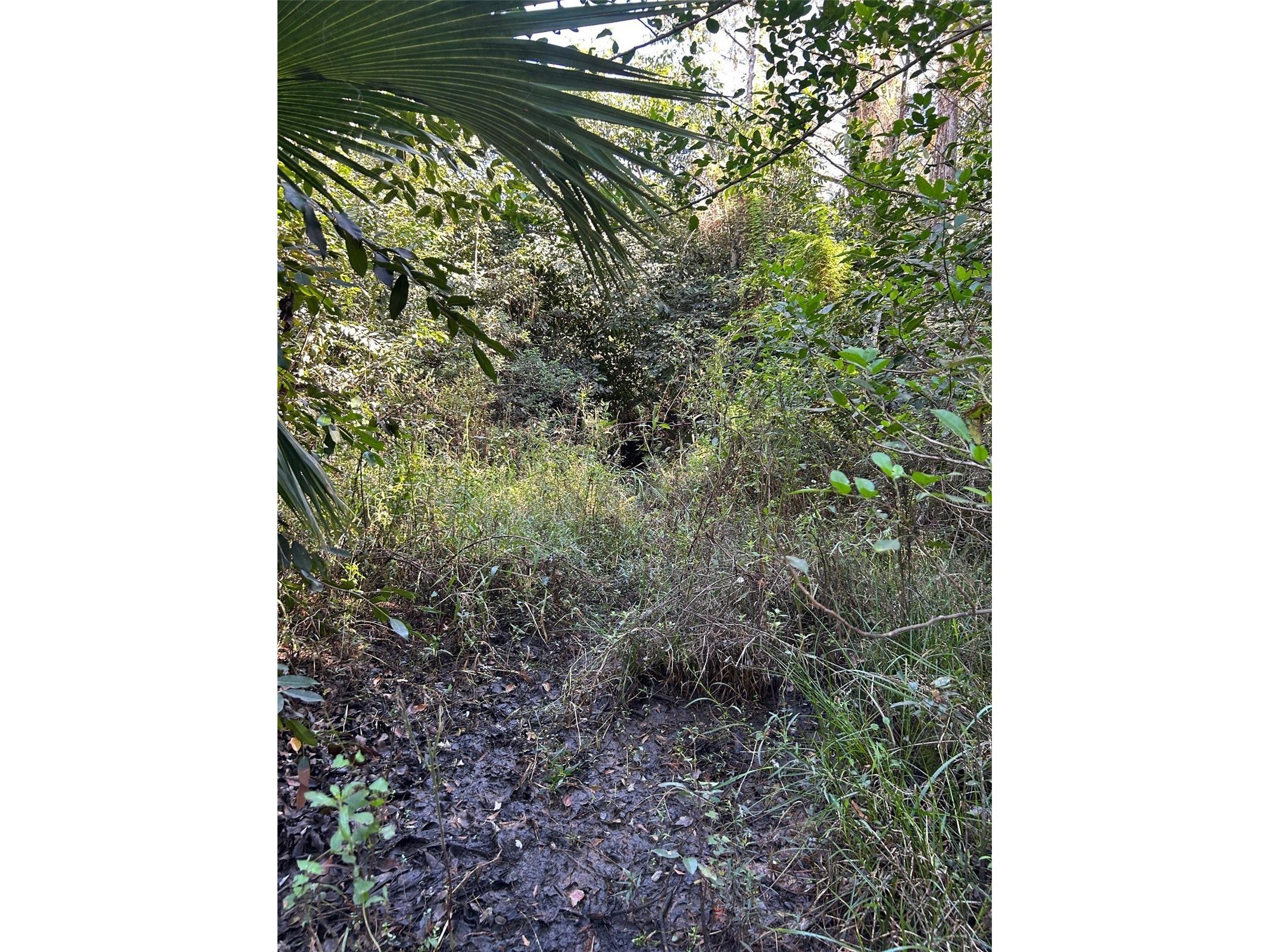 N/A Naples FL 34120 OM716996 image40