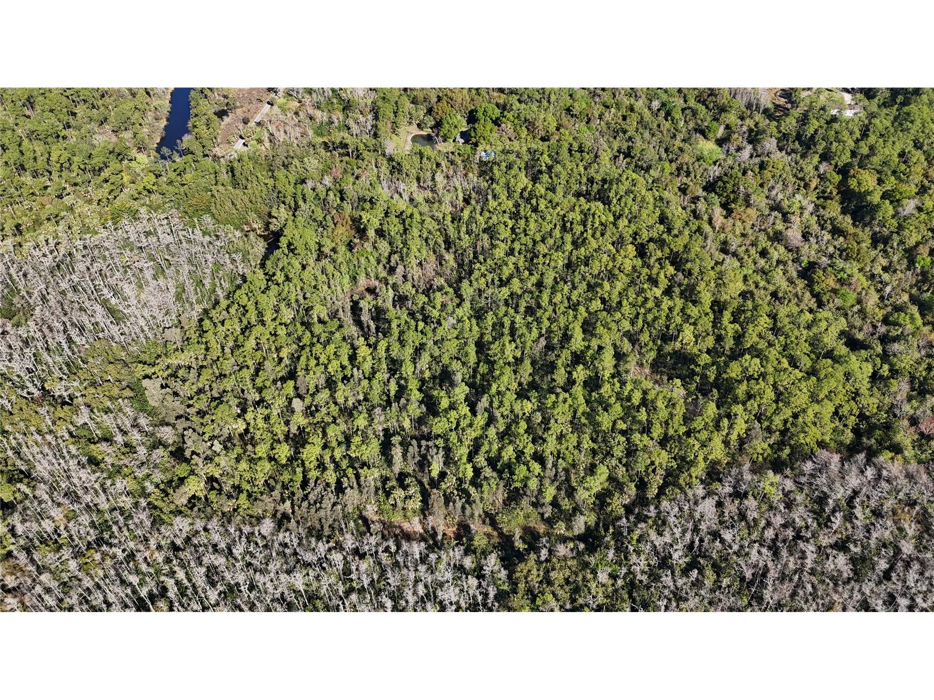 N/A Naples FL 34120 OM716996 image8
