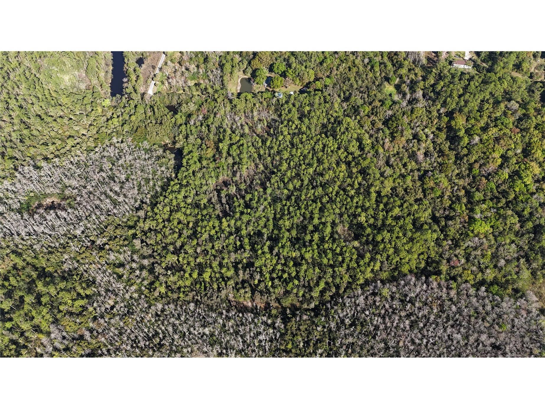 N/A Naples FL 34120 OM716996 image9