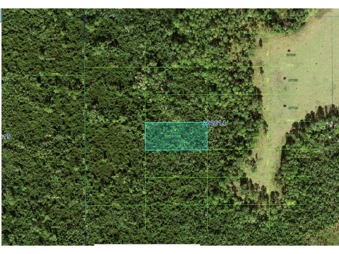 N/A Polk City Fl Polk City FL 33868 P4932192 image1