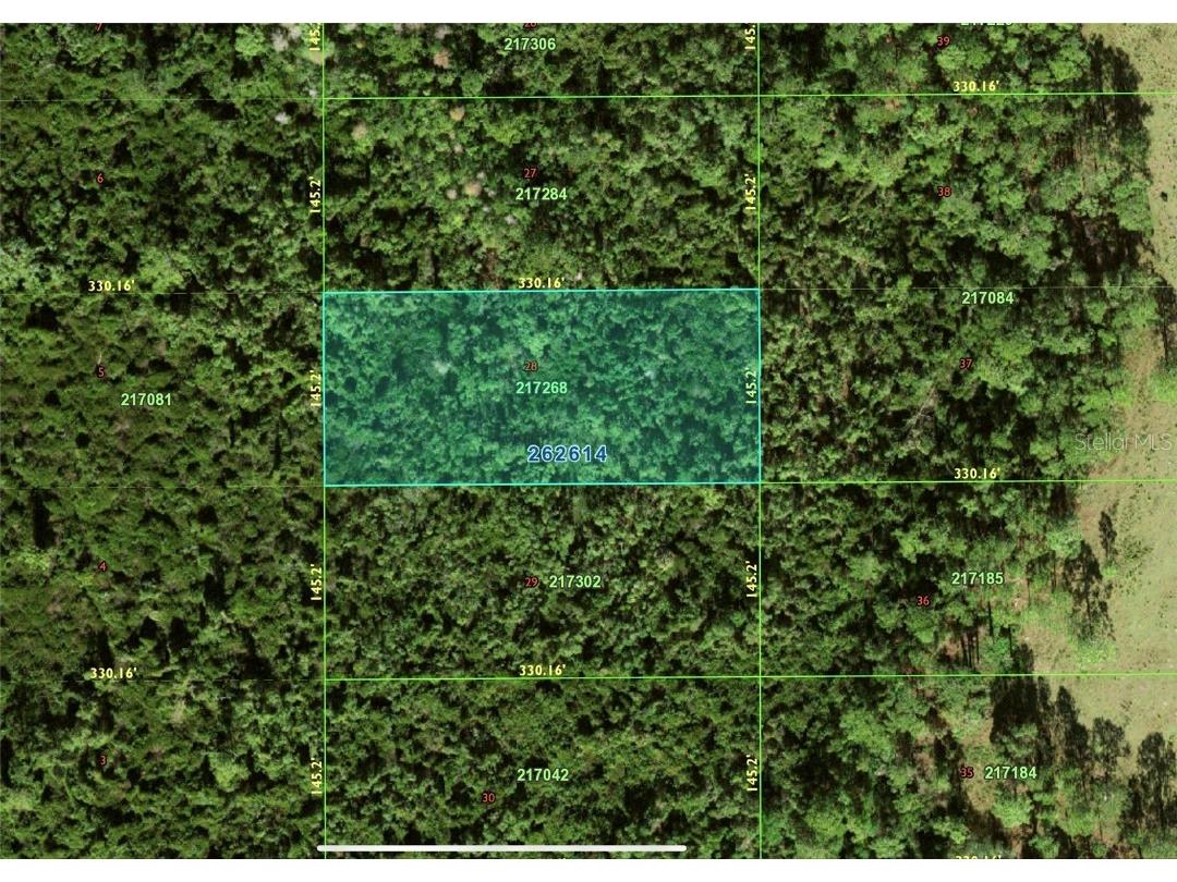 N/A Polk City Fl Polk City FL 33868 P4932192 image3