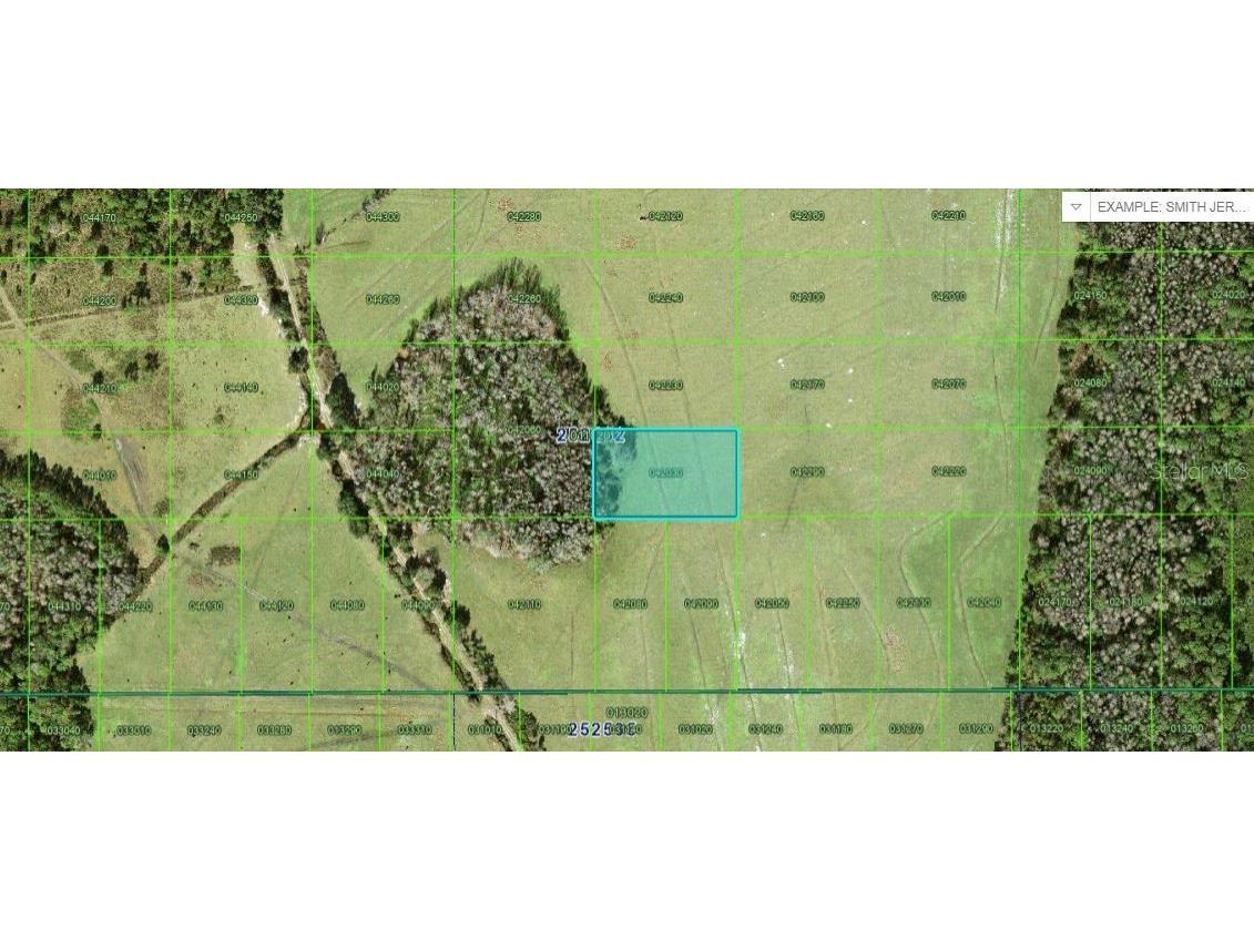 N/A Polk City FL 33868 O6227435 image1