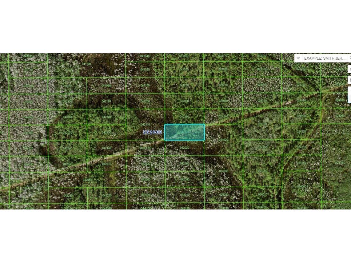 N/A Polk City FL 33868 O6227964 image1