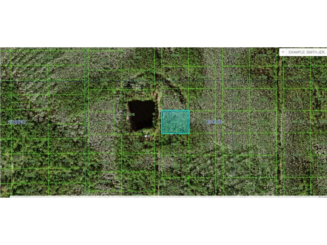 N/A Polk City FL 33868 O6227966 image1