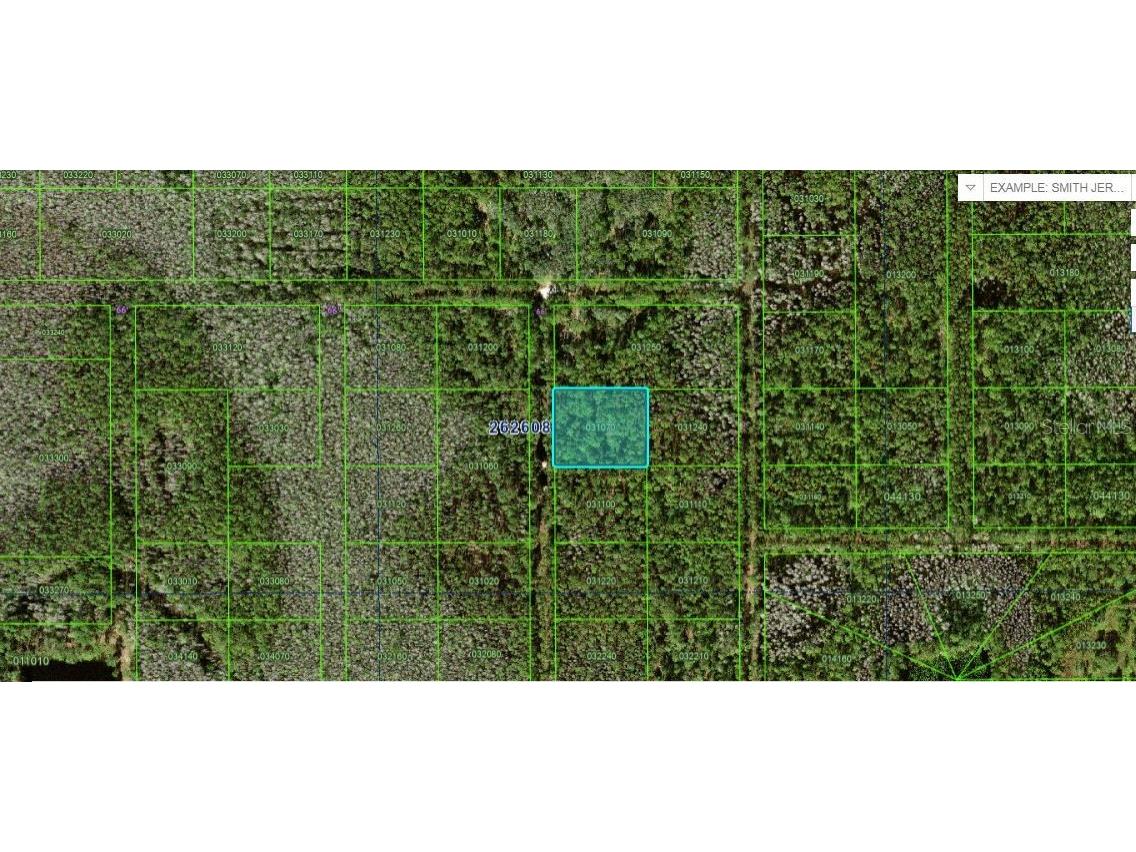 N/A Polk City FL 33868 O6228311 image1